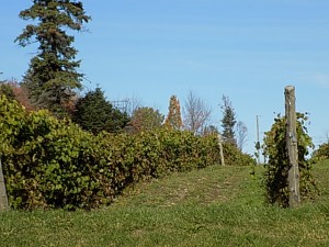 dscn0149