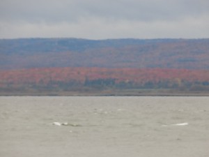 dscn0203