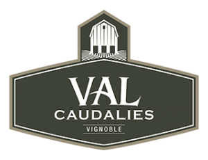 lab-val-logo