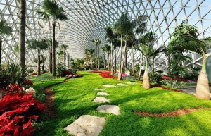 grande-serre-jardin