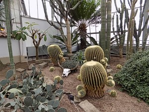 dscn0325