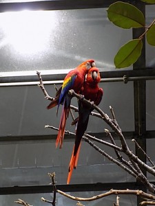dscn0341