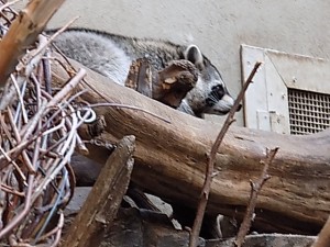 dscn0346