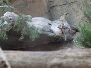 dscn0354