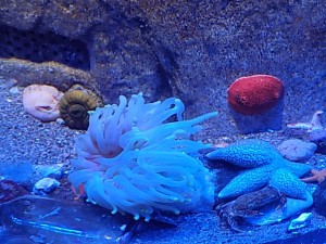 dscn0355