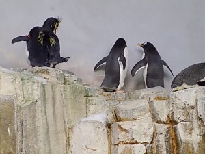 dscn0366
