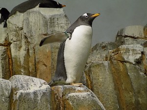 dscn0367