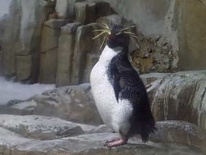 dscn0368