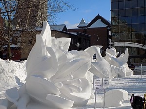 DSCN0464