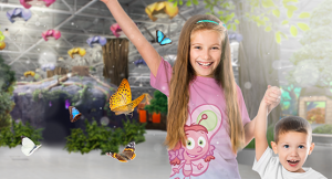 bfly enfant