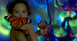 bfly papillon