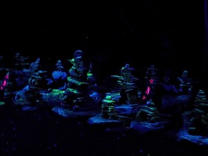 DSCN0279