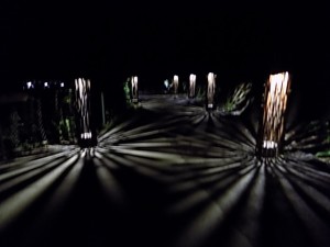 DSCN0290