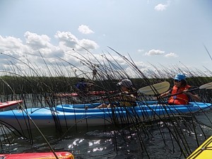 DSCN0338