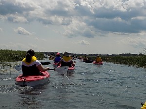 DSCN0341