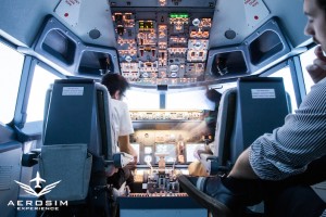 aerosim experience