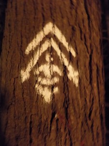 foresta logo