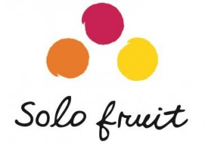 solo logo