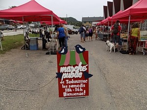 DSCN0432