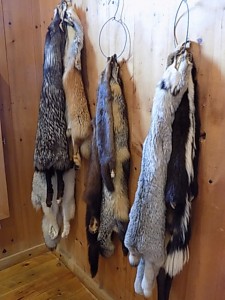 DSCN0440