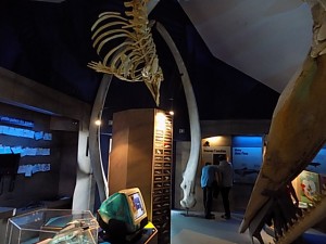 DSCN0466
