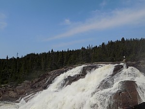 DSCN0767