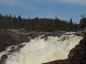 DSCN0770