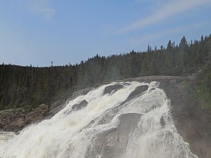 DSCN0771