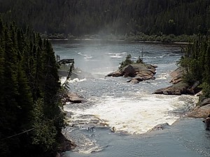 DSCN0774