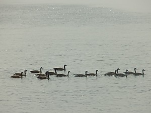 DSCN0852