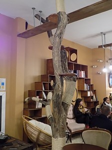 DSCN0899