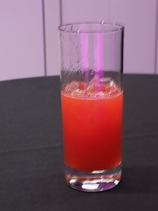 DSCN0990