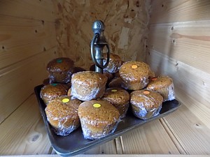 DSCN1224