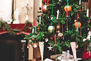 champagne sapin